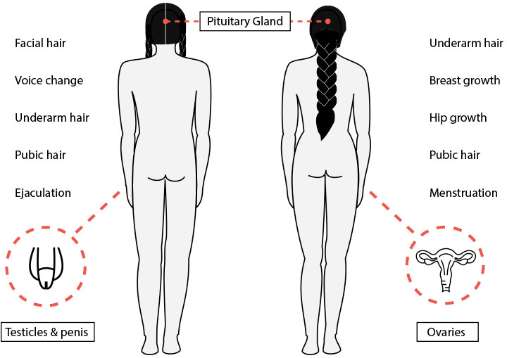 Outside of the body changes